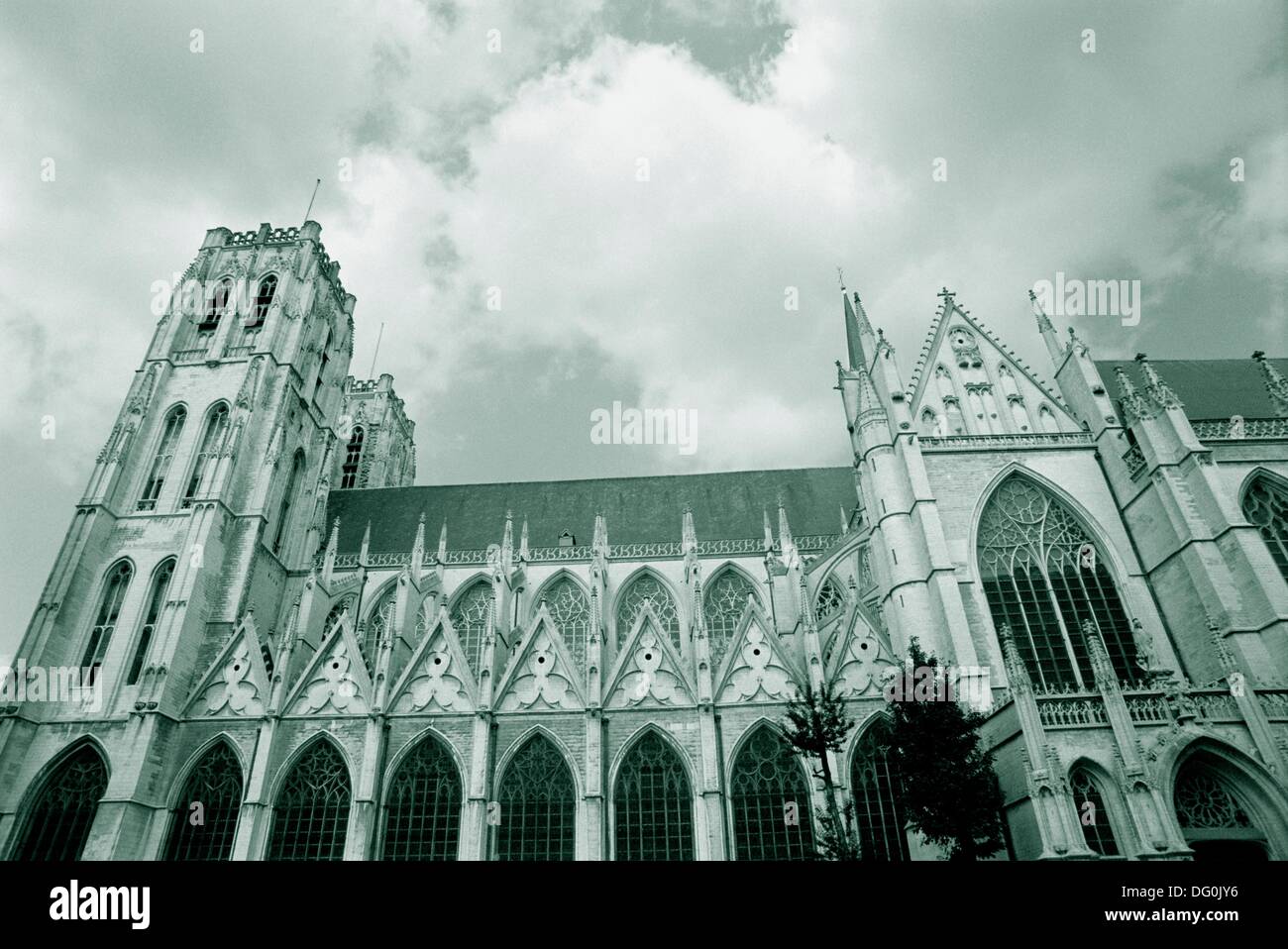 Il Belgio, Bruxelles, San Michele e Santa Gudula Cathedral Foto Stock