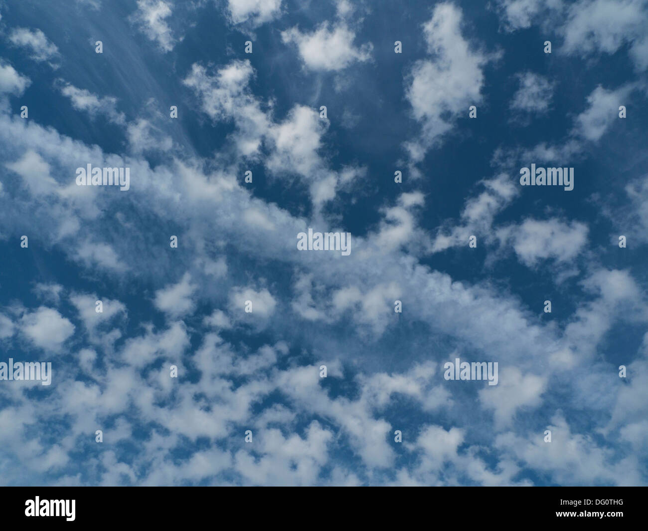 Puffy altocumulous bianche nuvole nel cielo blu Wales UK KATHY DEWITT Foto Stock