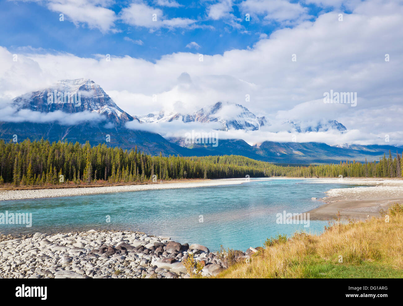 Il Fiume Athabasca che scorre attraverso il Parco Nazionale di Jasper Canadian Rockies Alberta Canada Foto Stock