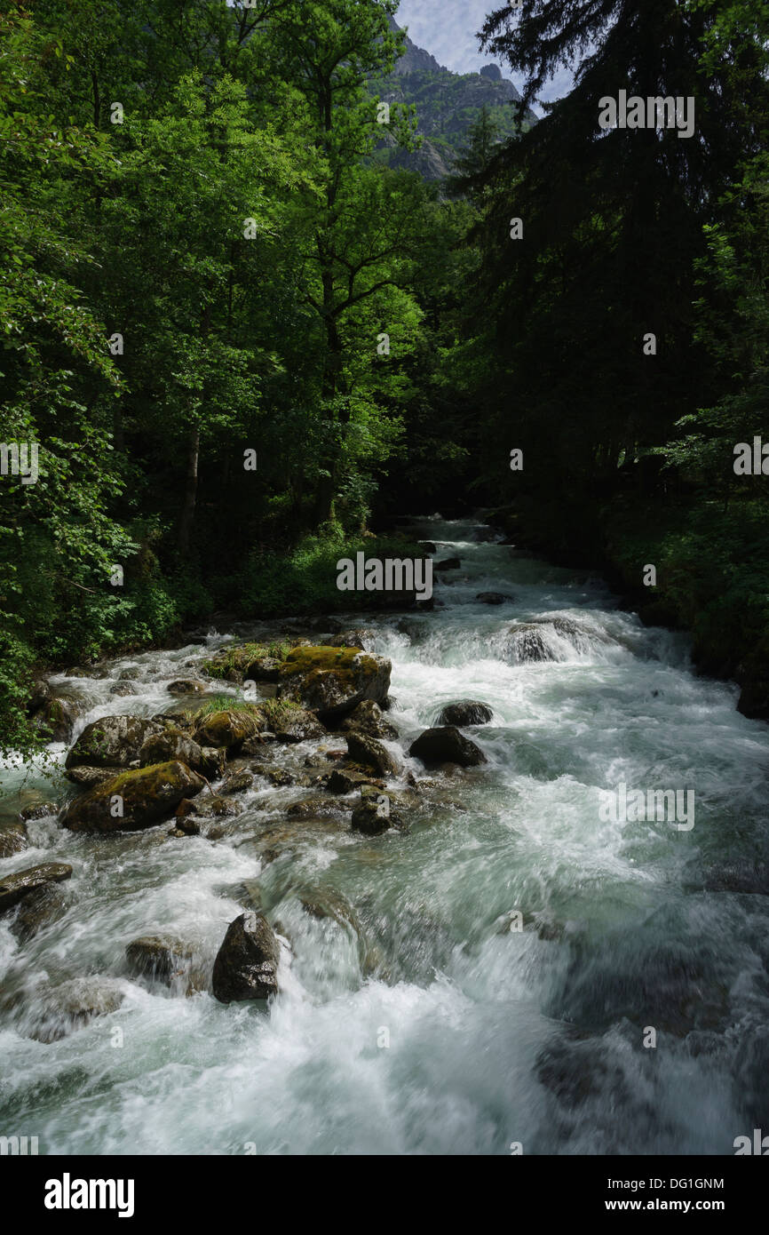 Francia, Ariège - Orlu, vicino a Ax-les-Thermes. La foresta e il parco di natura. L'Oriège fiume. Foto Stock