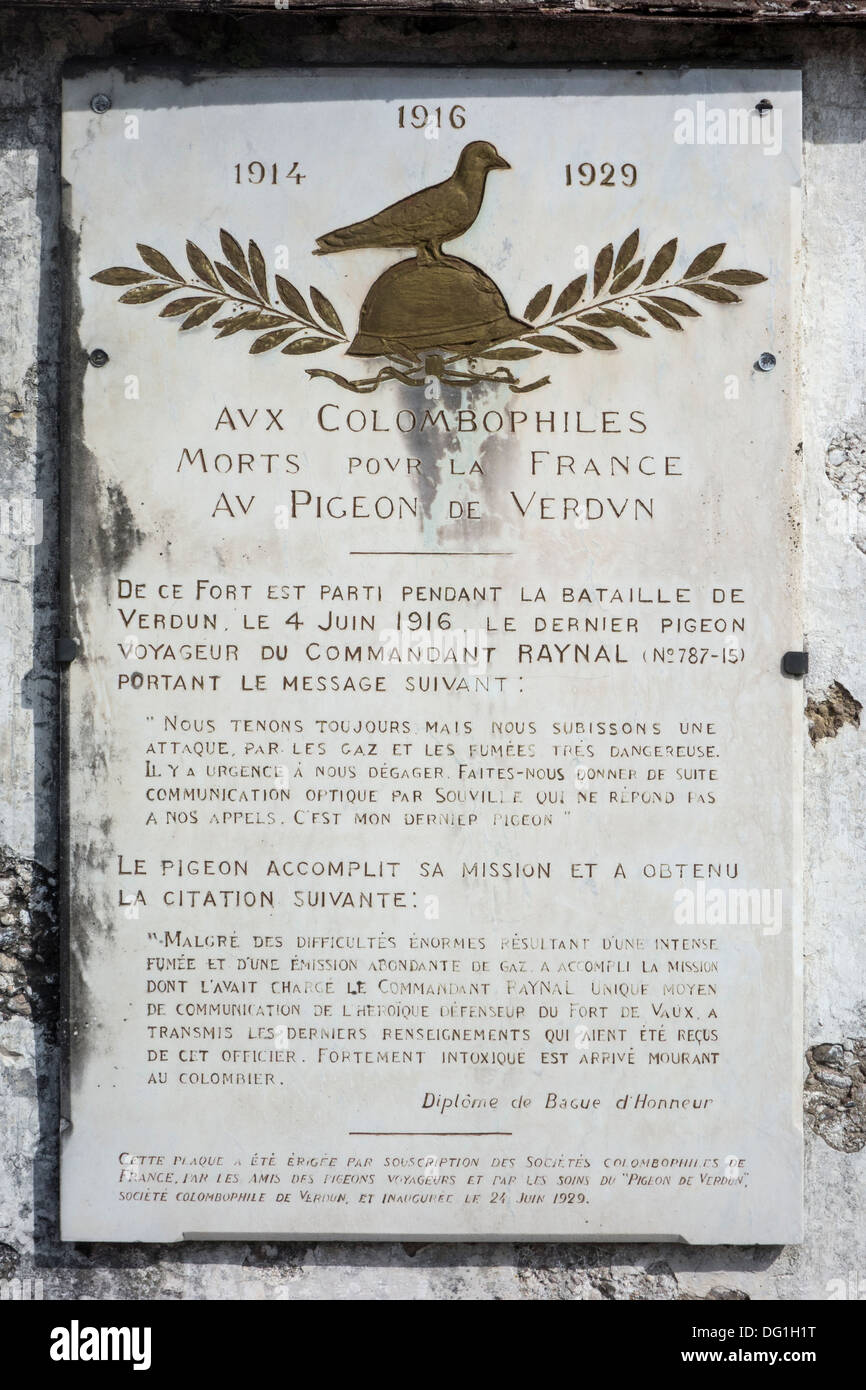 WW1 commemorazione targa per l'homing pigeon alla prima guerra mondiale un Fort de Vaux, Vaux-Devant-Damloup, battaglia di Verdun, Francia Foto Stock