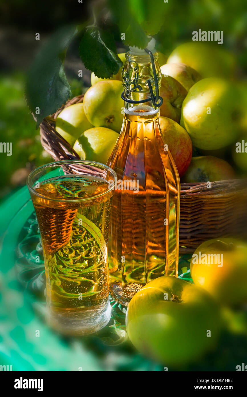 Giardino ancora in vita con bicchiere di sidro, bottiglia di sidro di mele e di sidro di mele facendo. Foto Stock