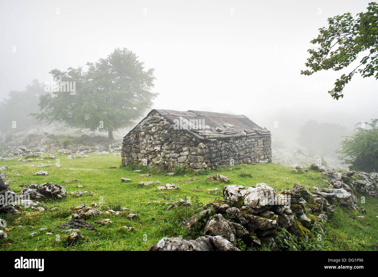 Casa di pietra in campagna nella nebbia e giorno di pioggia Foto Stock