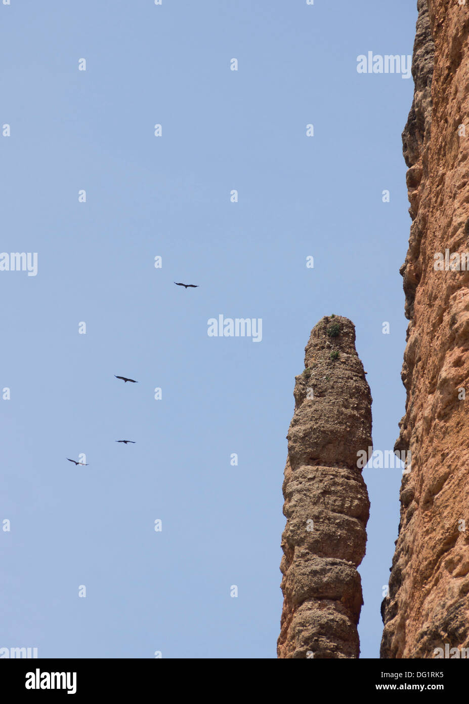 A nordovest della Spagna - Riglos, vicino a Huesca. Aquile cerchio intorno uno dei Mallos, pilastri in pietra arenaria. Foto Stock