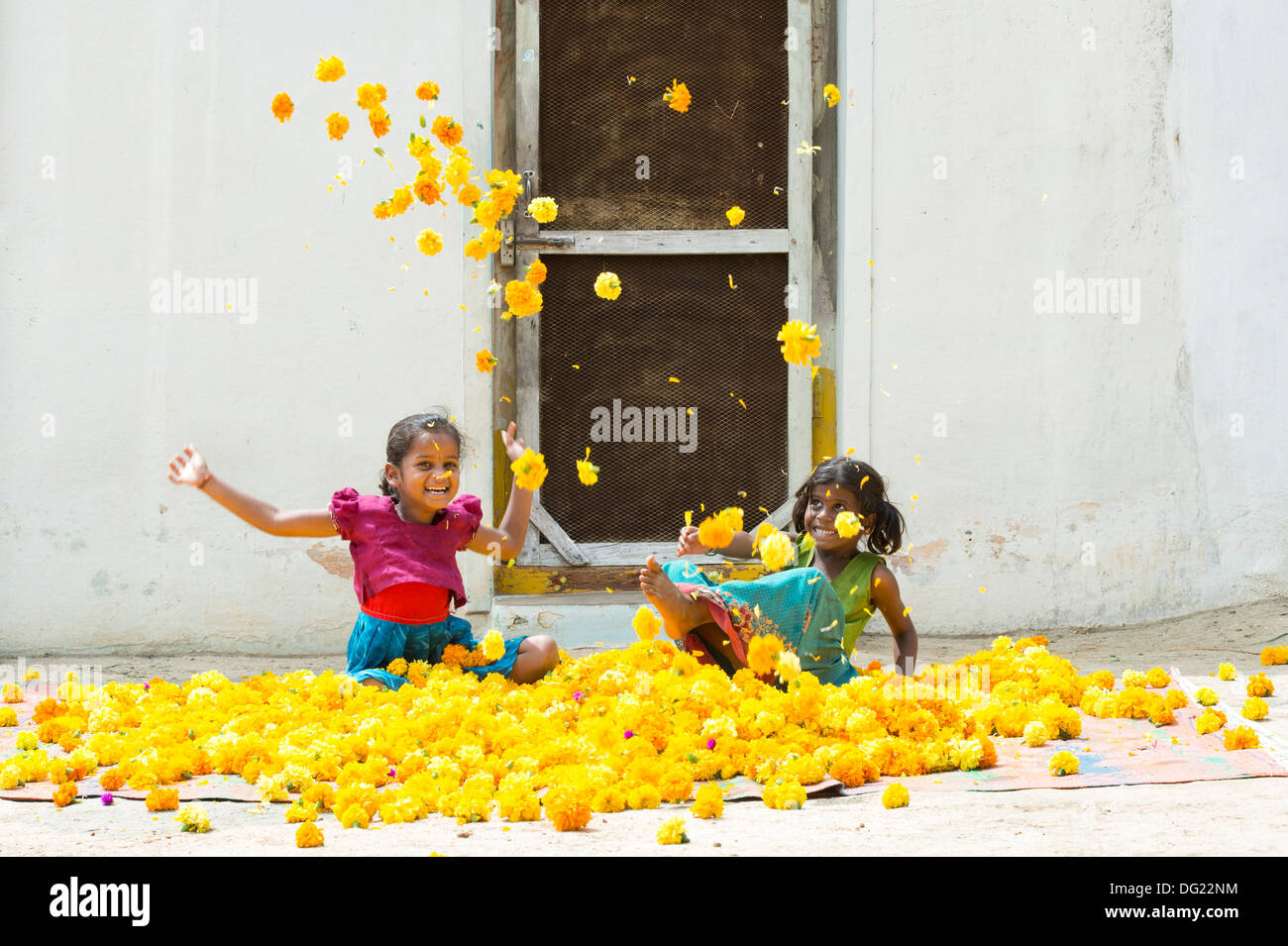 Rurale villaggio indiano ragazze giocare Gettare calendula fiori nell'aria. Andhra Pradesh, India Foto Stock