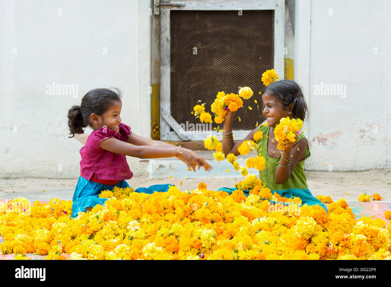 Rurale villaggio indiano ragazze giocare Gettare calendula fiori ad ogni altro. Andhra Pradesh, India Foto Stock