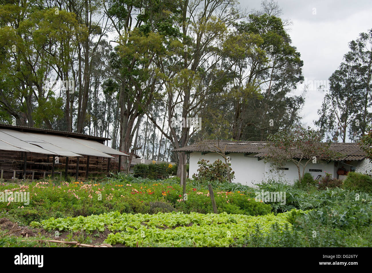 El Juncal outhouses fattoria e orto. La Colombia, Sud America. Foto Stock