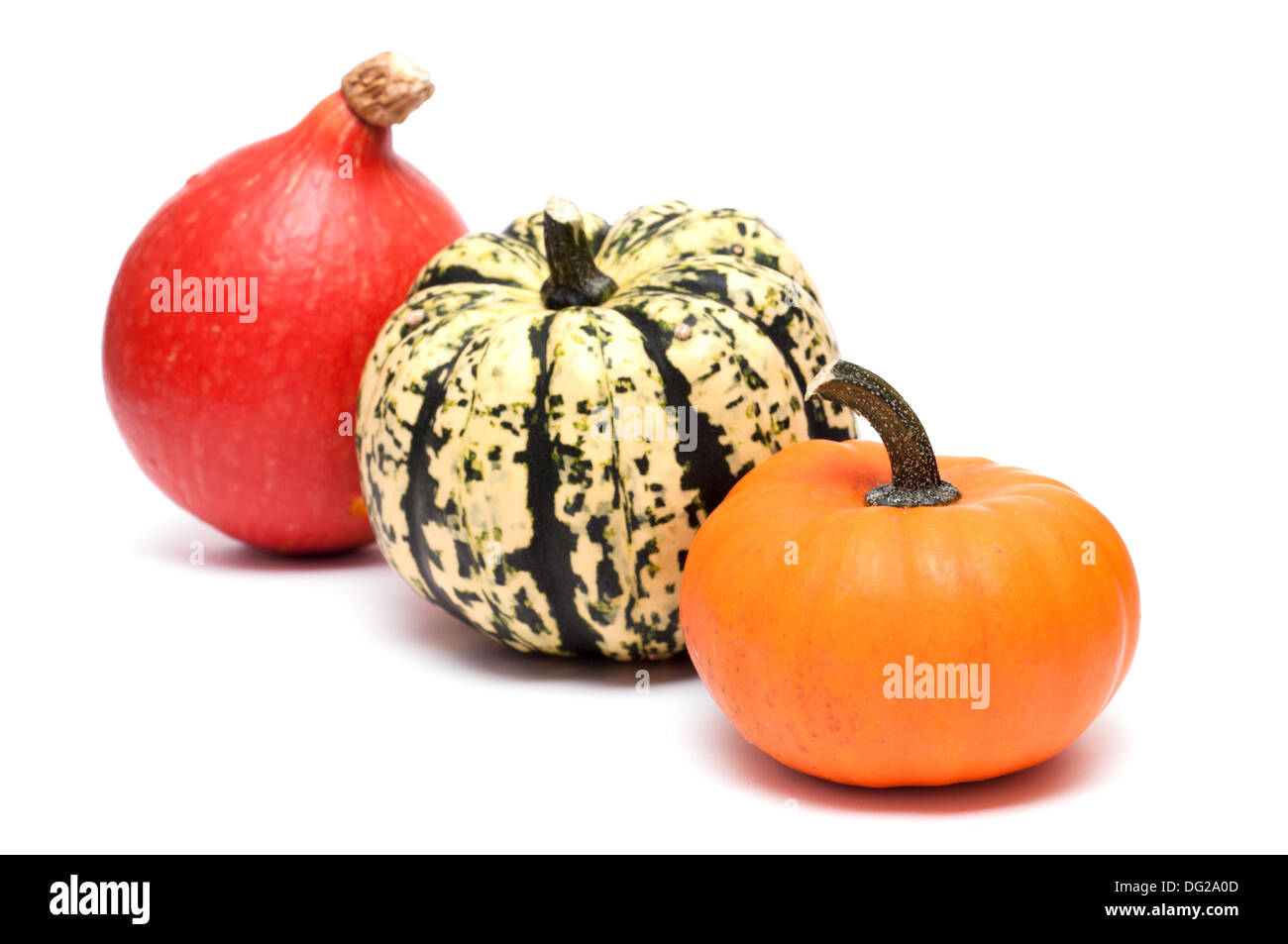Tre le zucche in fila su sfondo bianco Foto Stock