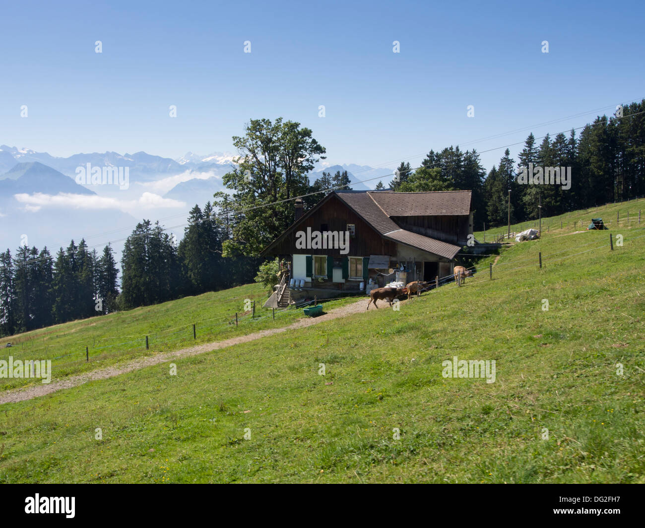 Forte inclinazione visibile dall'Vitznau-Rigi-Bahn, Rigi ruota dentata in Svizzera, le montagne e il Lago di Lucerna dietro Foto Stock