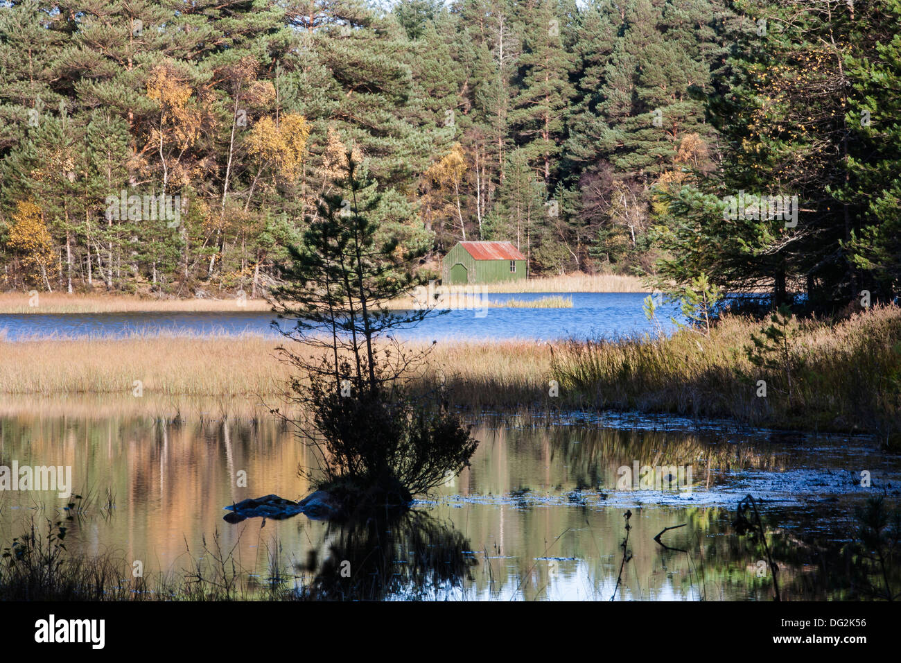 Queens Loch a Aboyne in Aberdeenshire, Scozia. Foto Stock