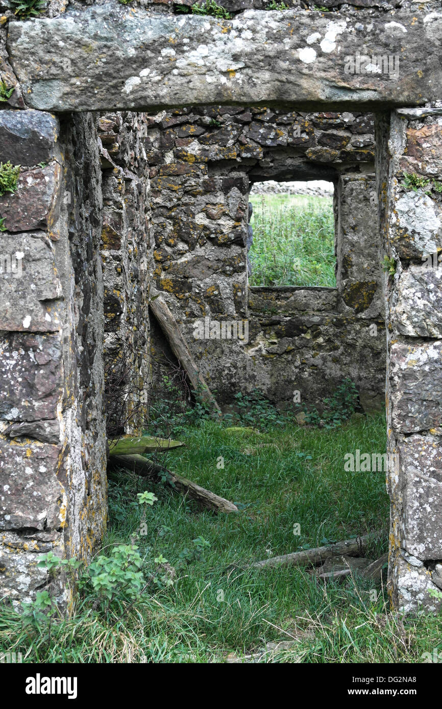 Rovinato fatiscente casa colonica nella zona Dysynni di Gwynedd, Galles, vista attraverso il portale anteriore fuori al finestrino posteriore Foto Stock