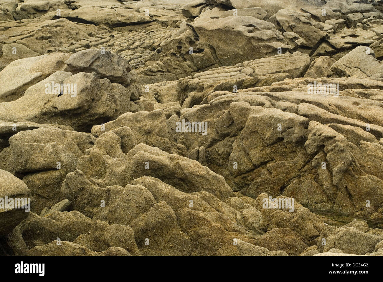 Rocce costiere erosa dagli elementi Foto Stock