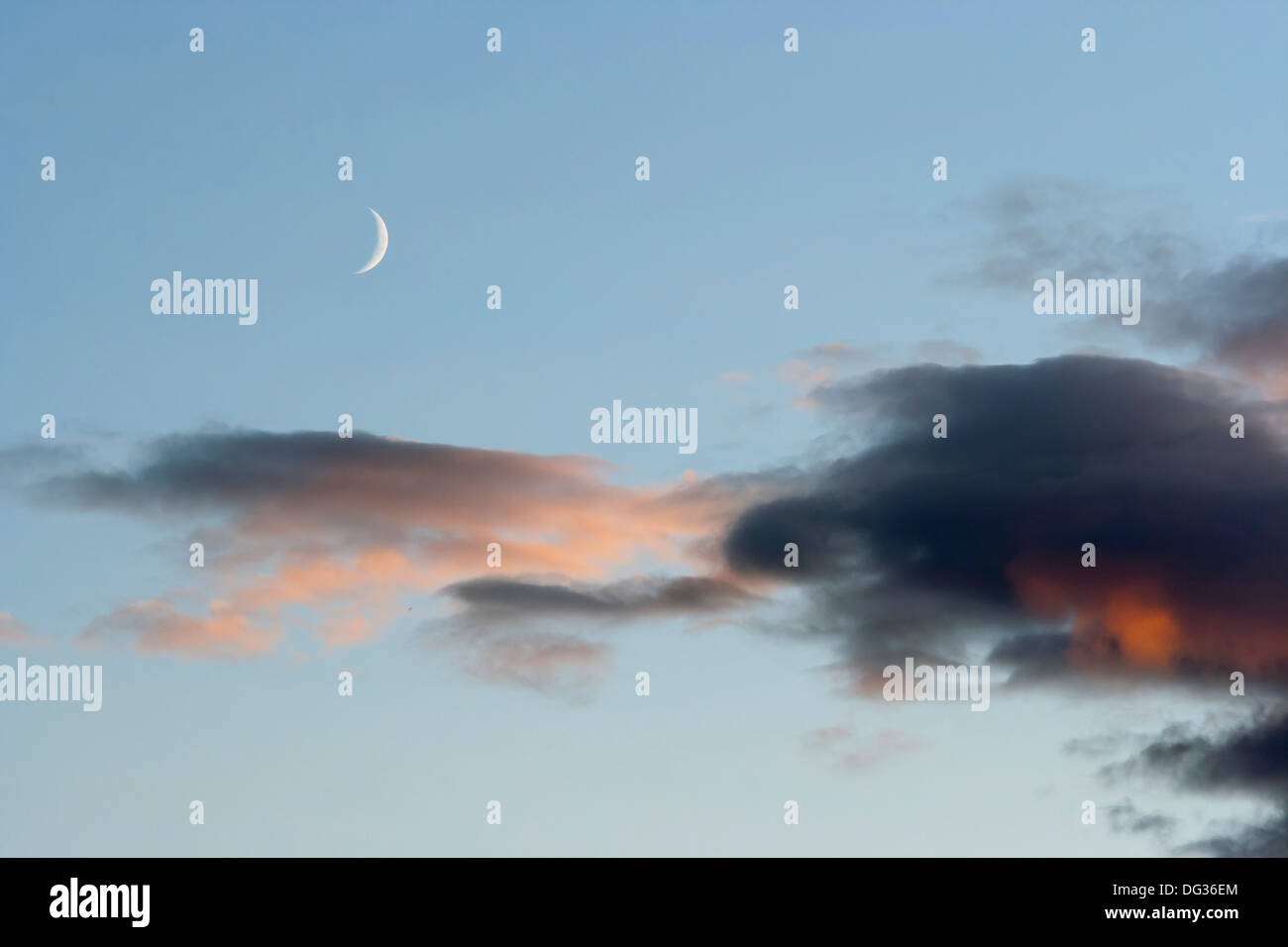 Falce di luna con rosa e nuvole scure Foto Stock