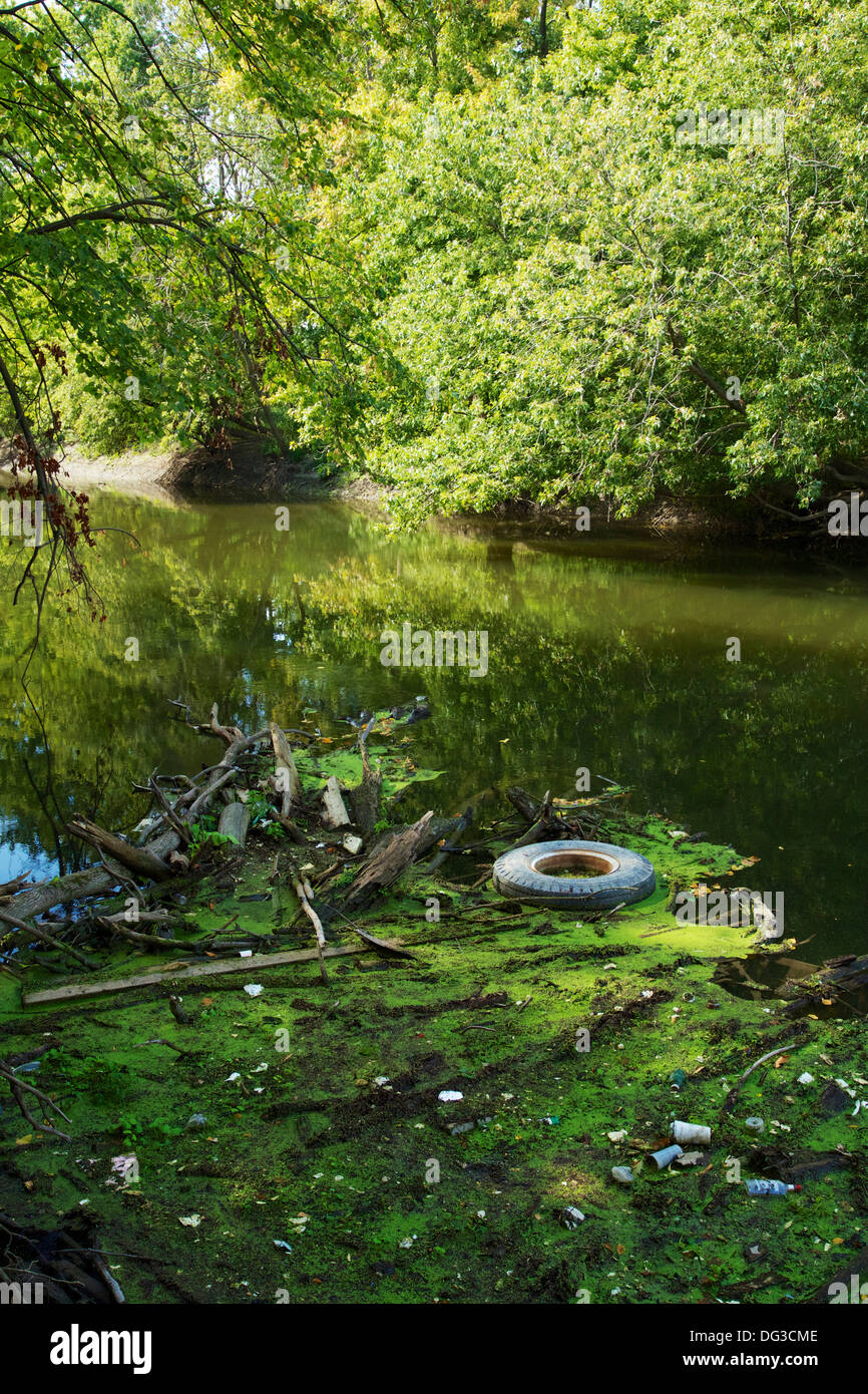 Impurità fluttuanti sulla Des Plaines River. Cook County, Illinois Foto Stock