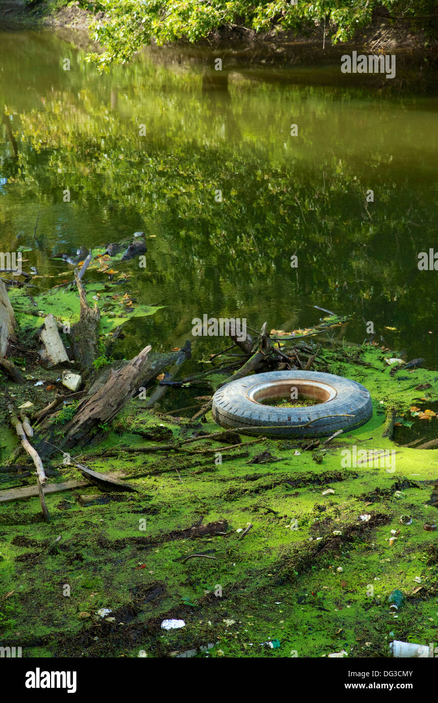 Impurità fluttuanti sulla Des Plaines River. Cook County, Illinois Foto Stock