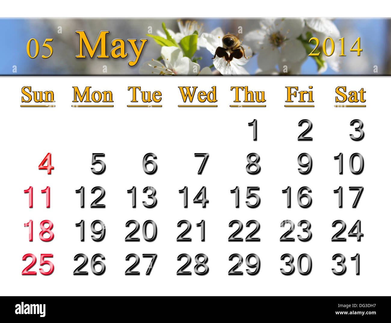 Calendario per il Maggio di 2014 anno sullo sfondo di flying bumblebee Foto Stock