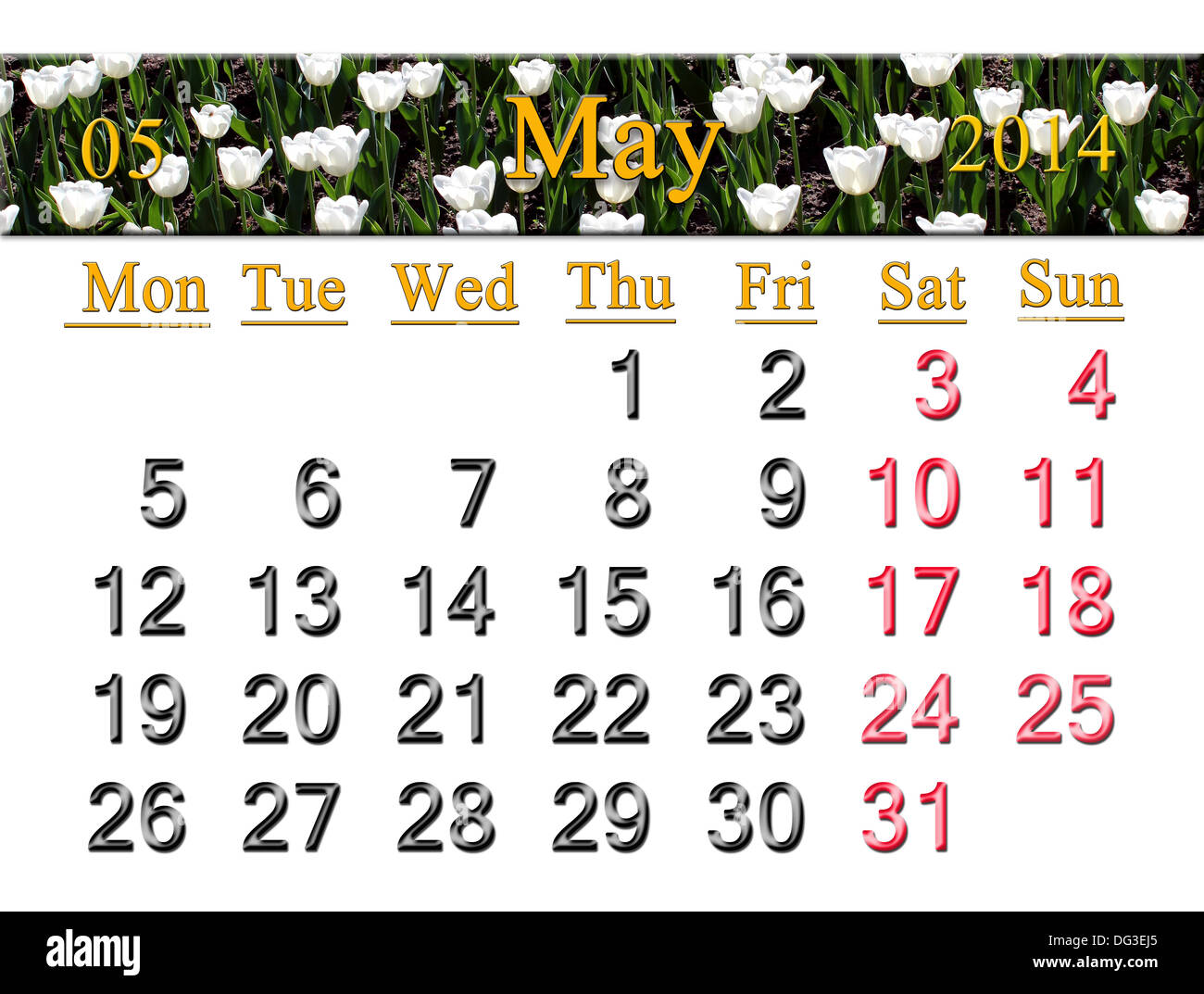 Calendario per il mese di maggio del 2014 sullo sfondo di tulipani in fiore-letto Foto Stock