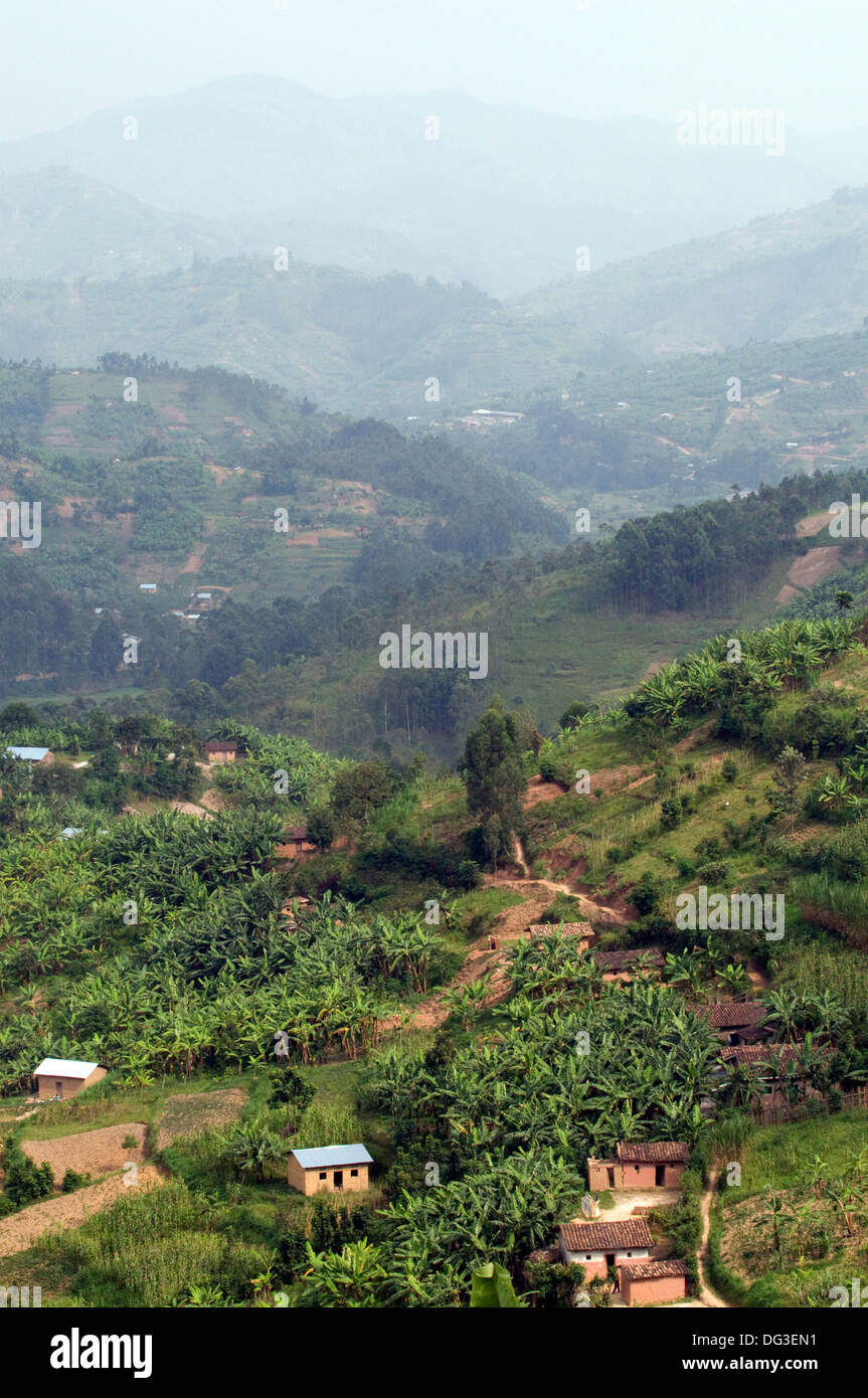 Ruanda rurale terra di mille colline fattorie banana e colline con i terrazzamenti, bosco e agricoltura nebbie della distanza Foto Stock