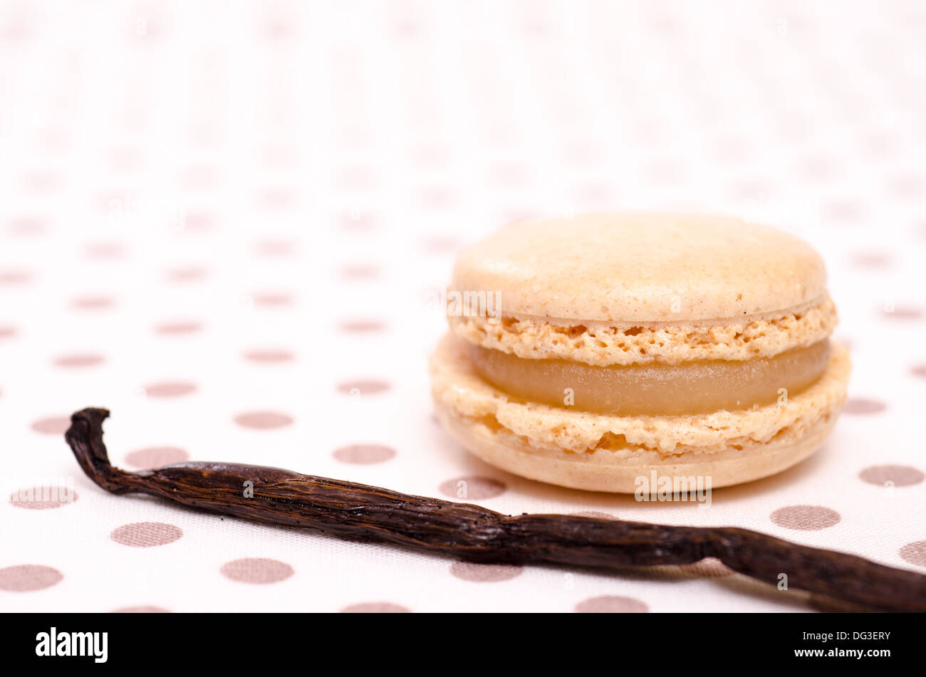 Baccelli di vaniglia e specialità francesi di dolci macaron Foto Stock