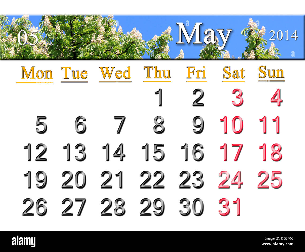 Calendario per il mese di maggio del 2014 sullo sfondo di corone di castagna Foto Stock