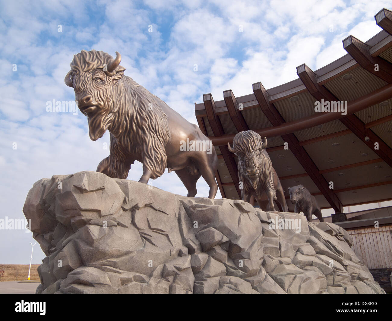 Bison statue adornano la parte esterna del Dakota Dunes casinò sulla terra di Whitecap prima nazione nei pressi di Saskatoon, Canada. Foto Stock