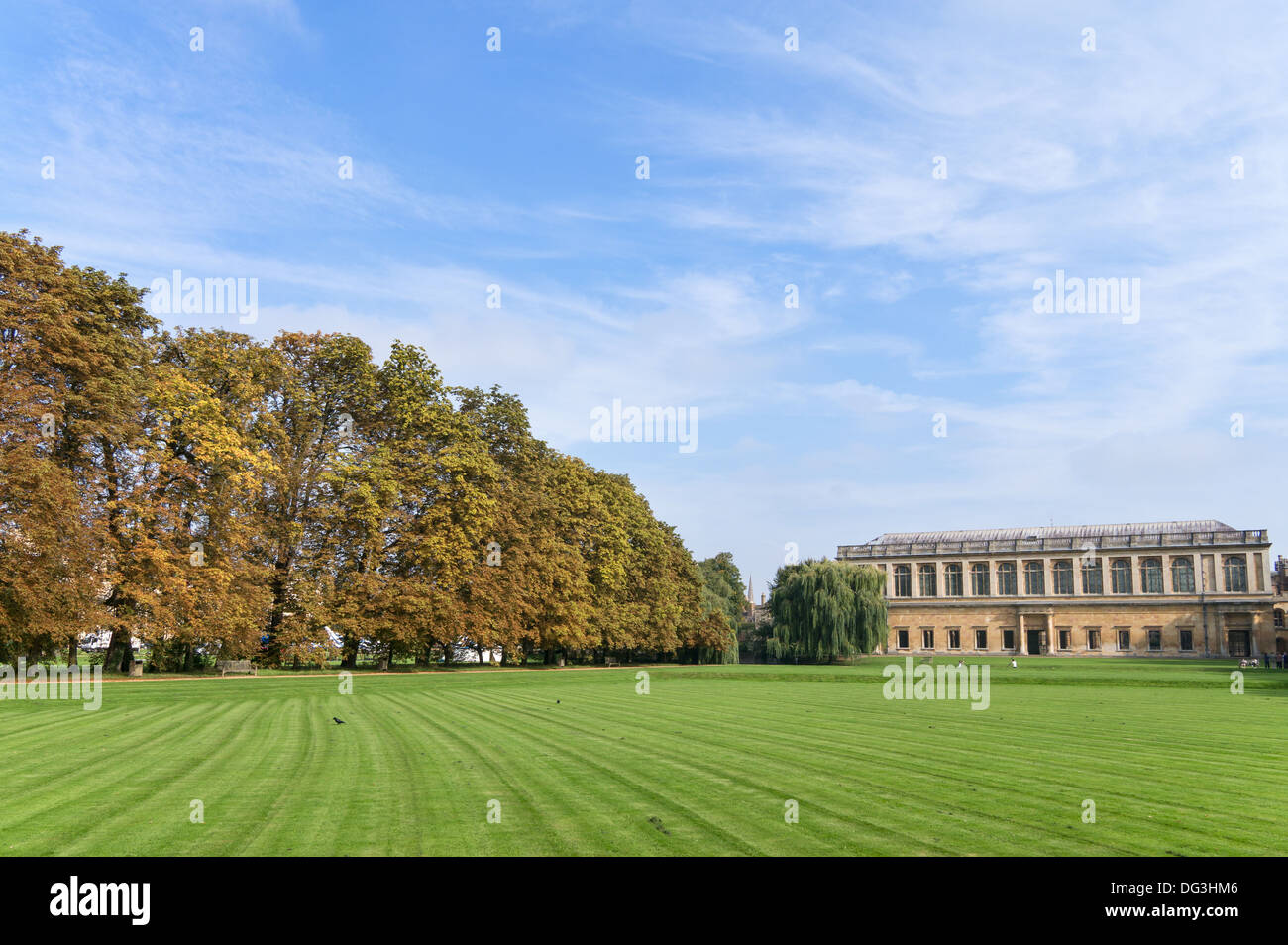 La Wren library del Trinity College University of Cambridge visto con colori autunnali, Cambridge, Inghilterra Foto Stock