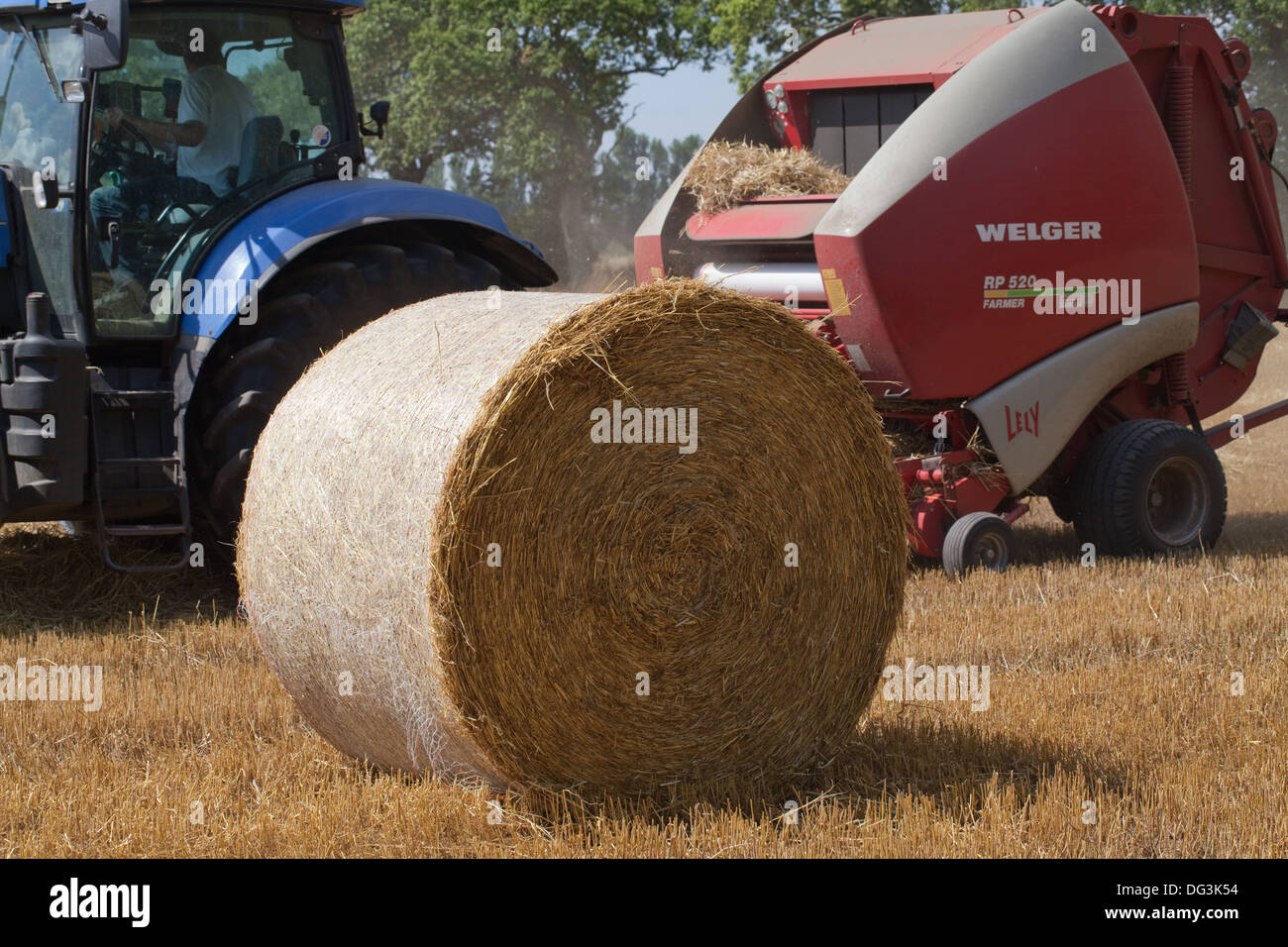 Il trattore disegnato, round macchina compattatrice, lavorando su righe di combinare raccolte paglia. Primo piano della balla. Foto Stock