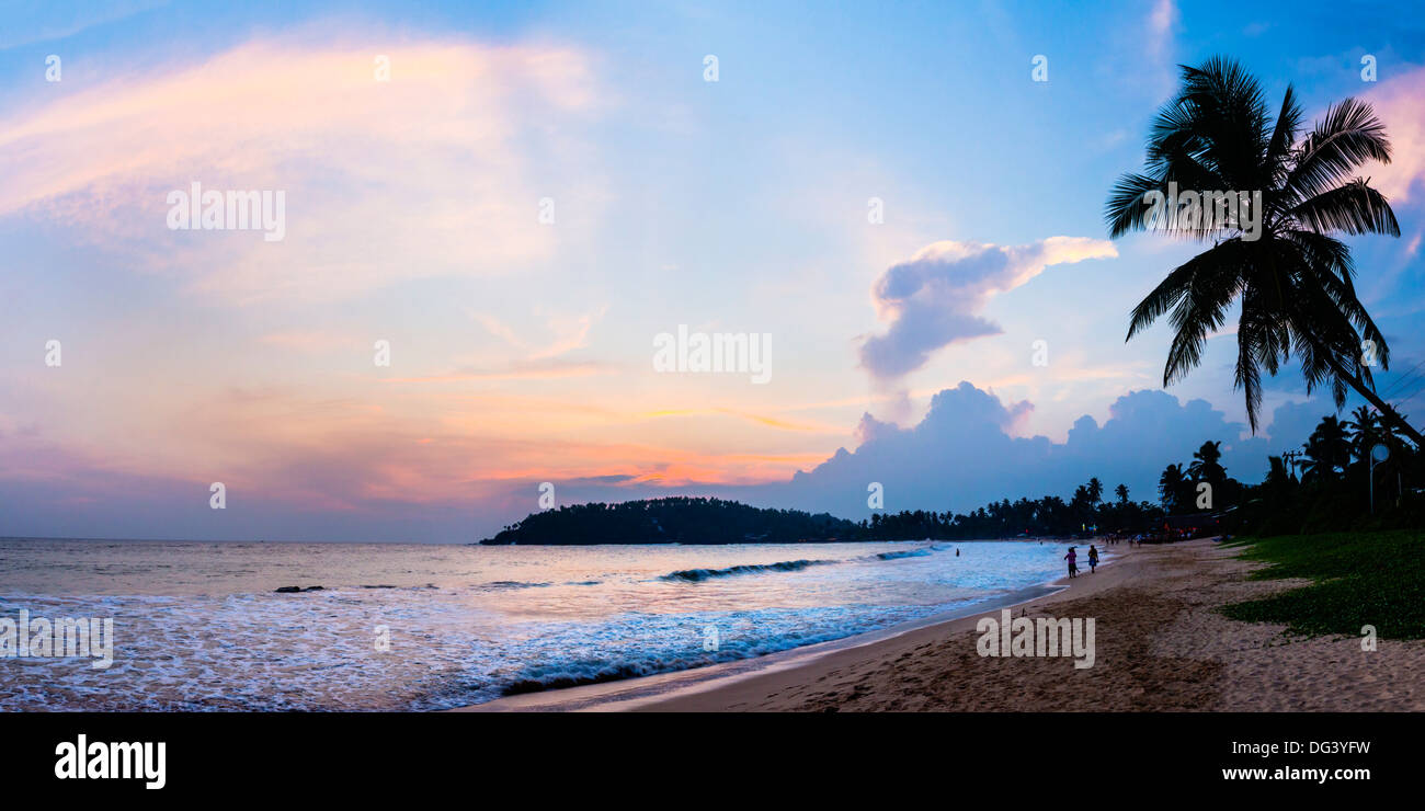 Mirissa Beach, Palm tree al tramonto sull'Oceano Indiano, costa sud, sud della provincia, Sri Lanka, Asia Foto Stock
