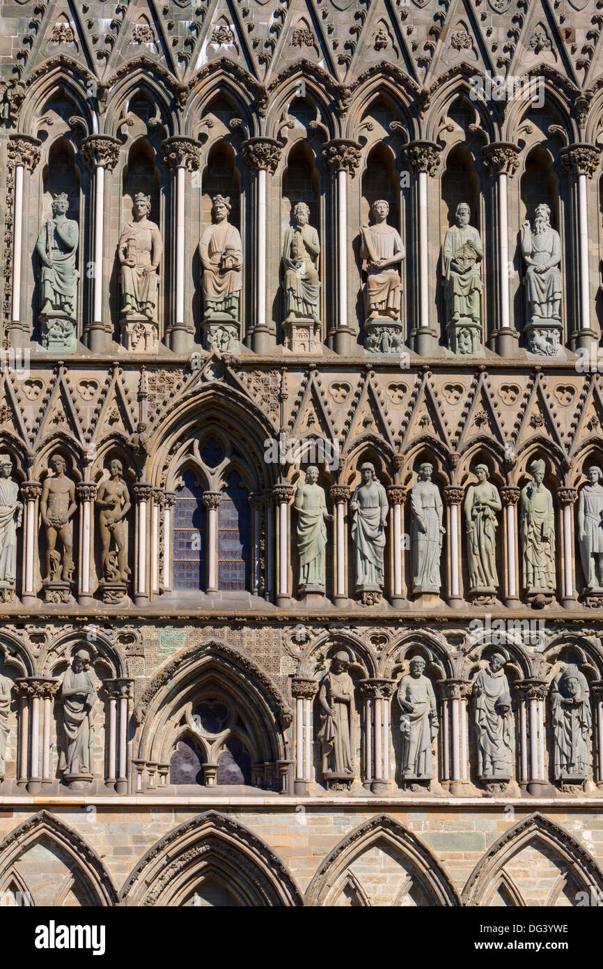 Dettaglio della facciata, la cattedrale Nidaros, Trondheim, Sor-Trondelag, Norvegia, Scandinavia, Europa Foto Stock