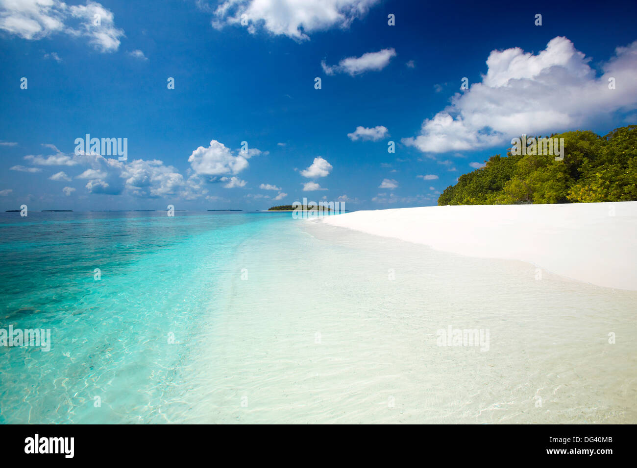 Tropical Beach, Baa Atoll, Maldive, Oceano Indiano, Asia Foto Stock