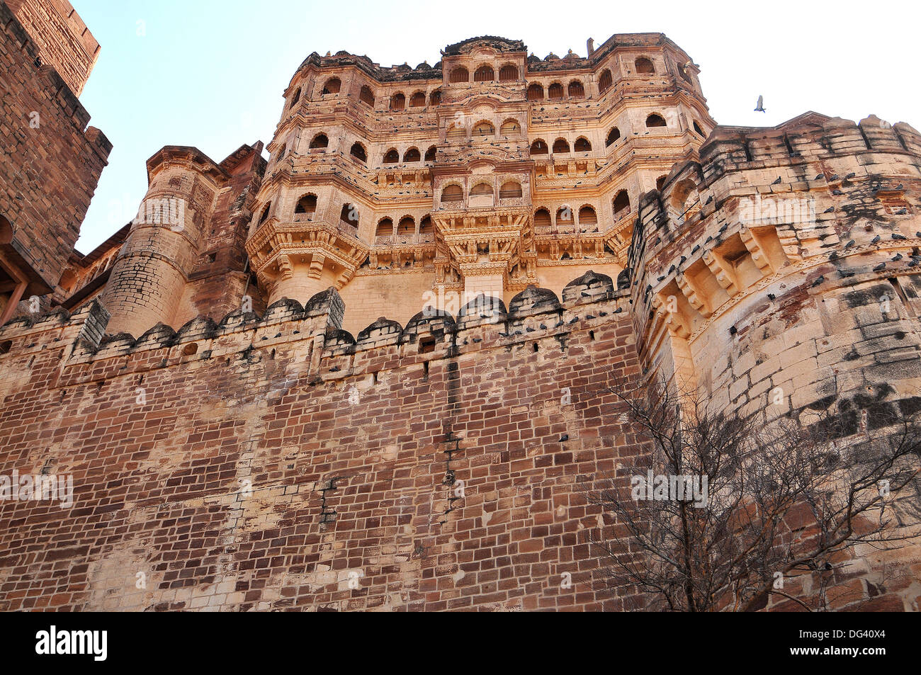 Il Forte Mehrangarh di Jodhpur, Rajasthan, India, Asia Foto Stock