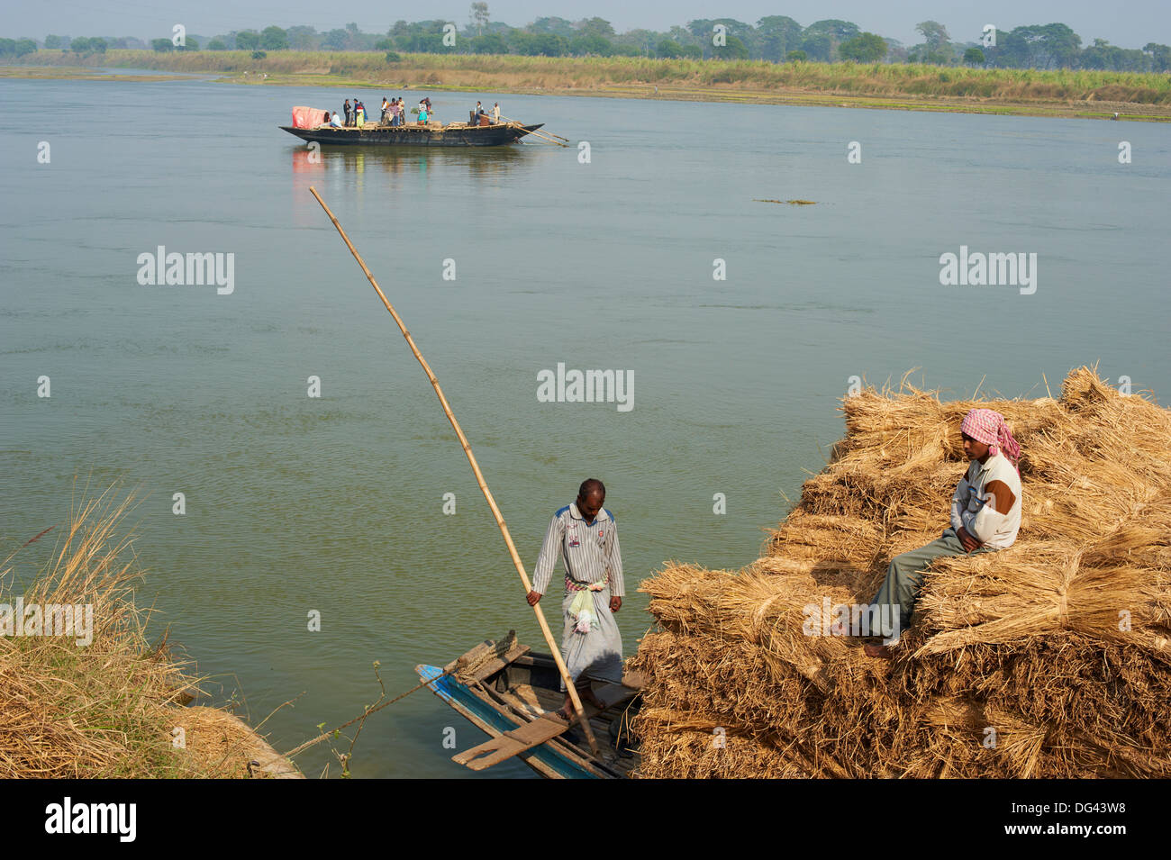 Paglia di Riso di trasporto sul Fiume Hooghly, parte dell'Riuver Gange, West Bengal, India, Asia Foto Stock