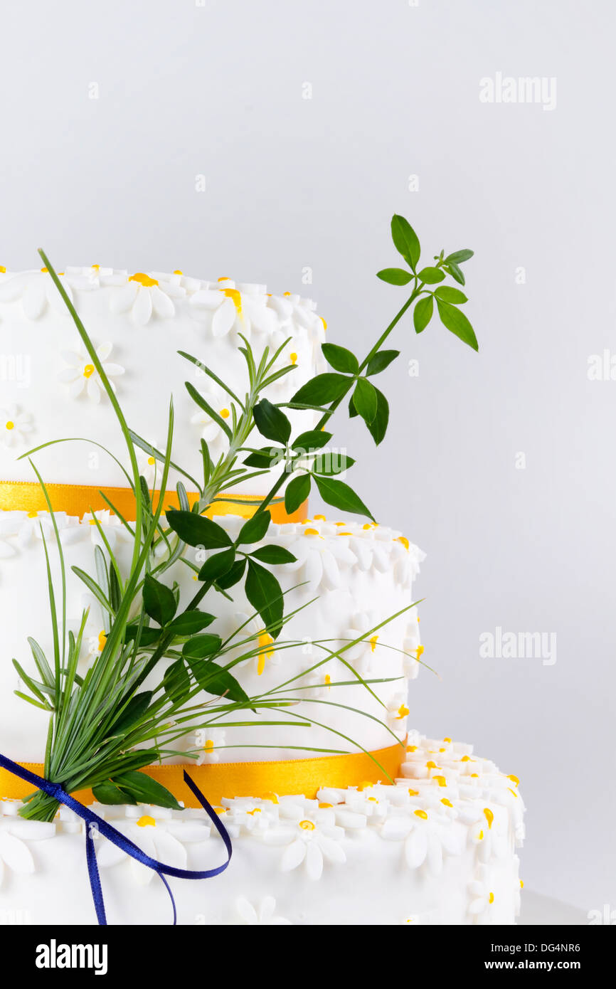 Decorate la torta celebrazione Foto Stock