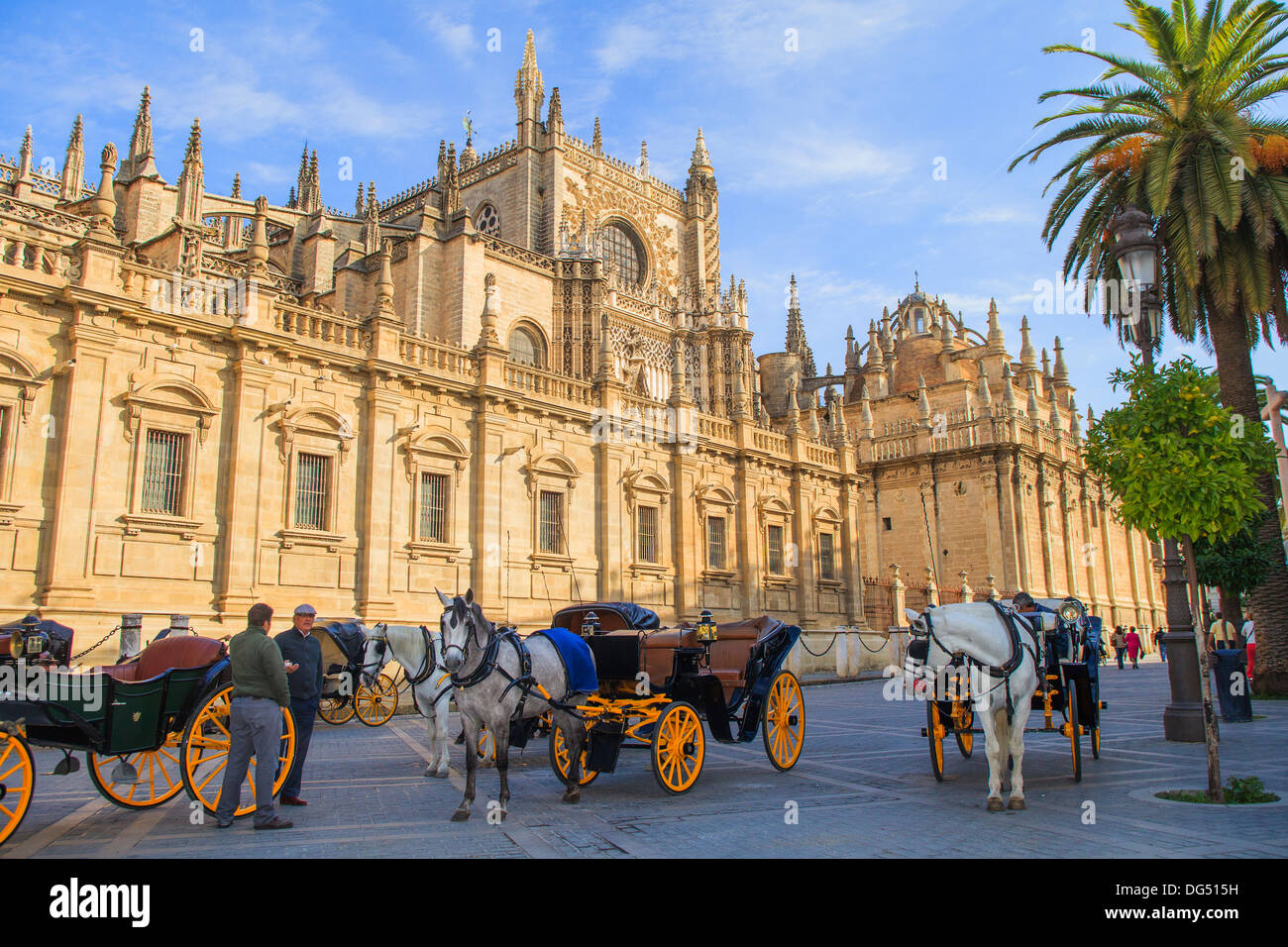 Carrozze trainate da cavalli con guide di fronte alla Cattedrale di Siviglia Foto Stock