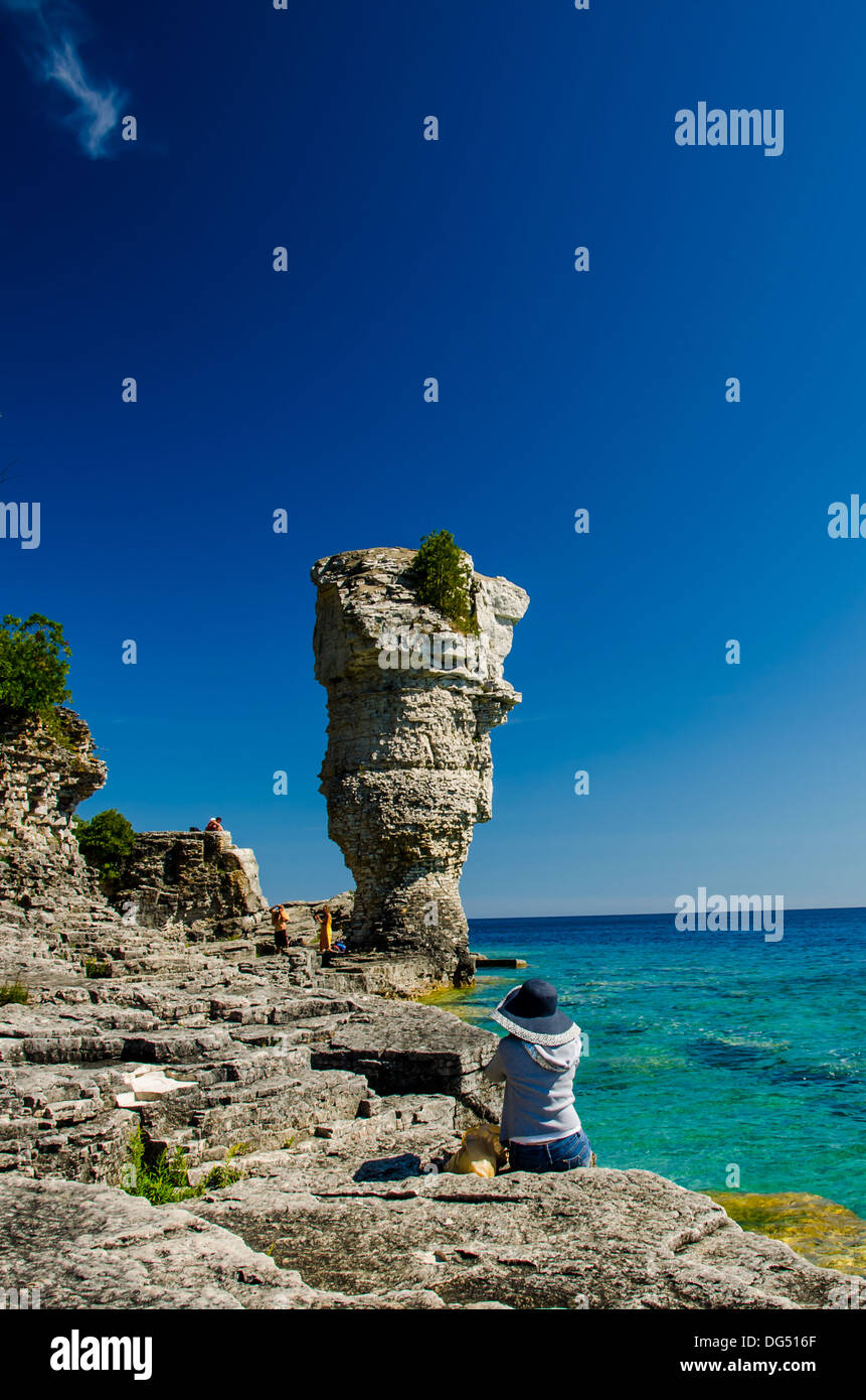 Un vaso di fiori formazione rocciosa sul vaso di fiori Isola, Tobermory Ontario Foto Stock