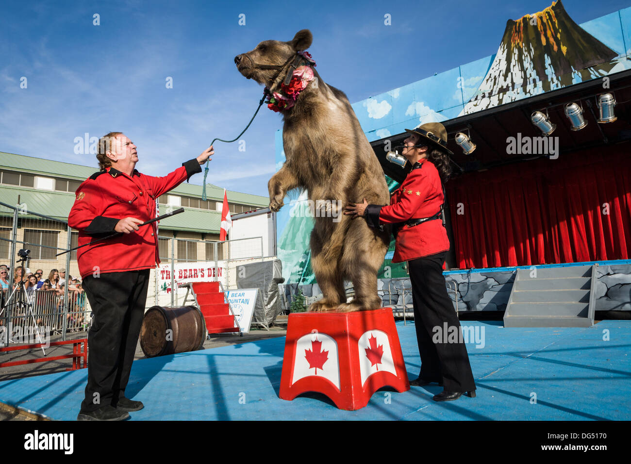 Orso addestrato atto, Grande New York State Fair, Siracusa. Foto Stock
