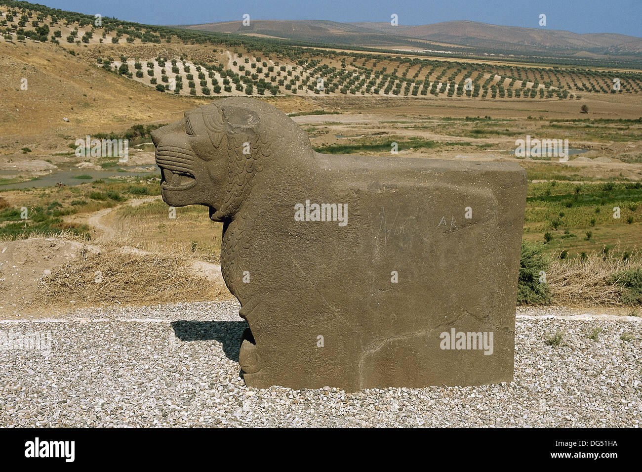 Età del ferro Syro-Hittite. Un leone scolpito in pietra. Ain Dara tempio. Ain Dara. La Siria. Foto Stock