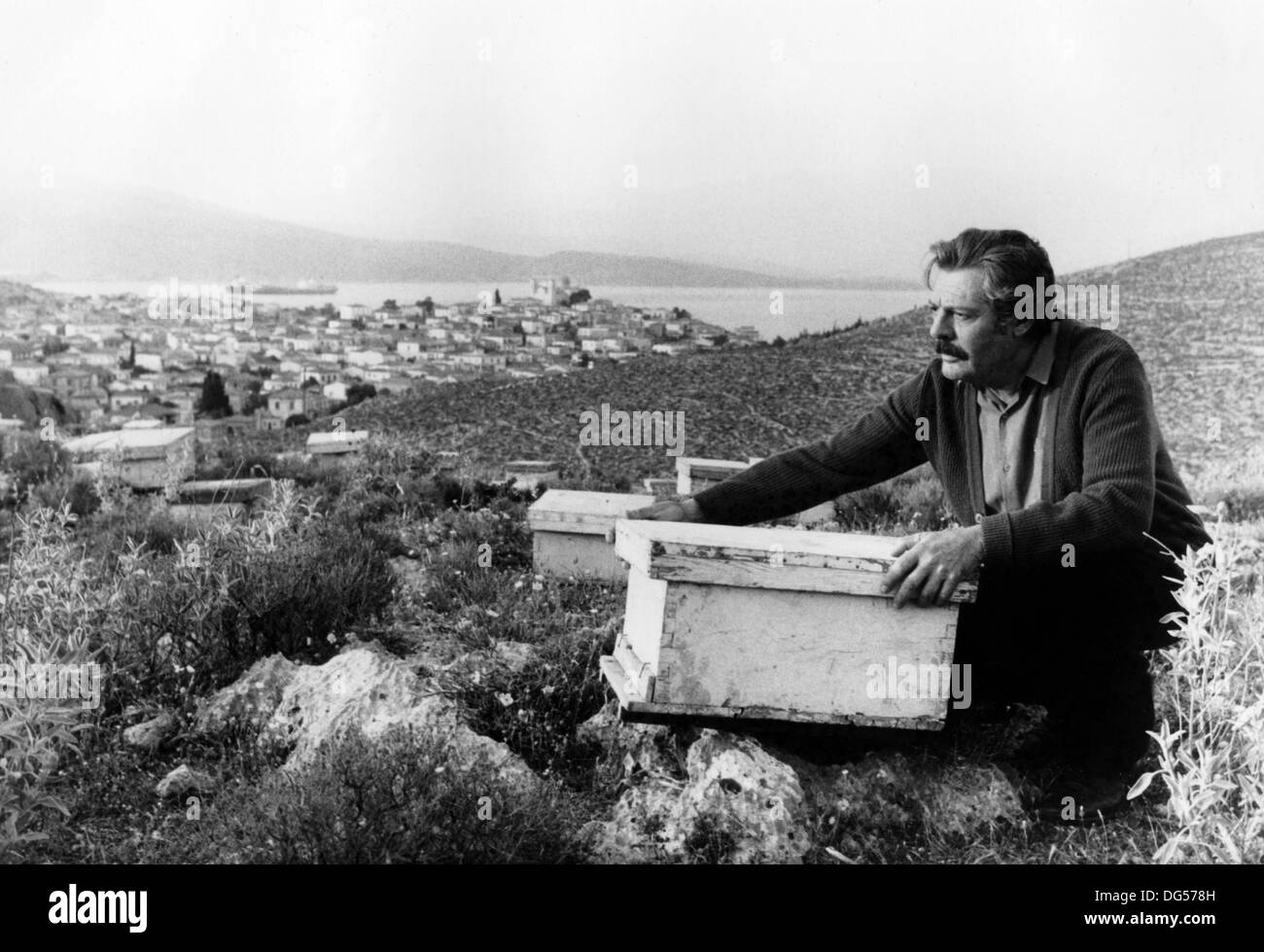 L'apicoltore 1986) O MELISSOKOMOS ALT) MARCELLO MASTROIANNI, THEODORUS ANGELOPOULOS DIR) TBKP 005 COLLEZIONE MOVIESTORE LTD Foto Stock