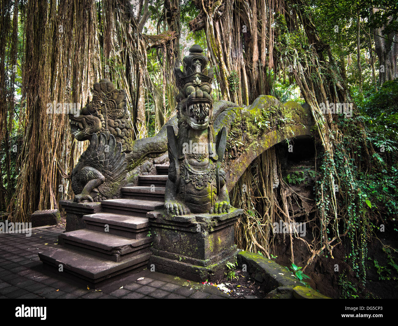 Un percorso suggestivo/ponte taglia attraverso le radici di un banyan tree e attraversa una gola in Ubud il Santuario della Foresta delle Scimmie. Foto Stock