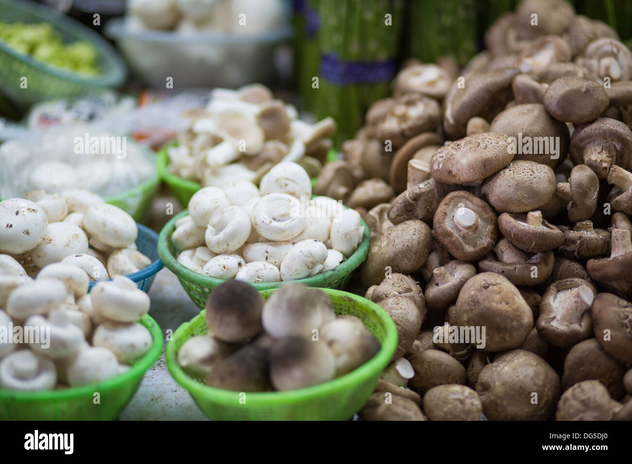 I funghi in un mercato fresco a Shanghai Foto Stock