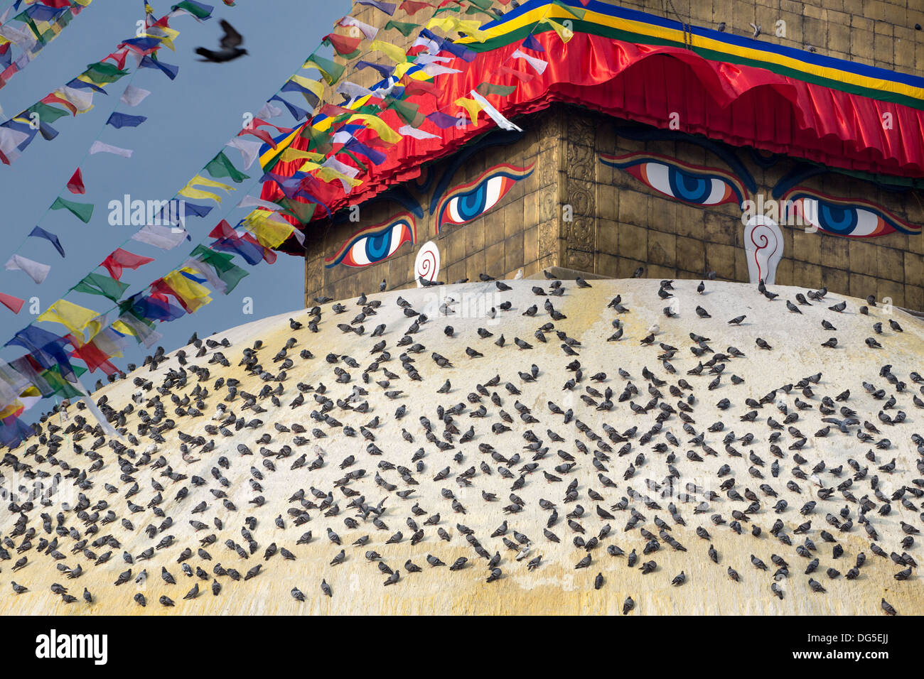 Affollamento di piccioni volare al di sopra del grande Stupa Boudhanath, a Kathmandu, Nepal. Foto Stock