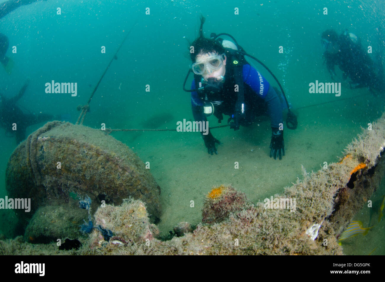 Scuba diving in Ilha das Cabras, Ilhabela, North Shore di Sao Paulo, Brasile Foto Stock