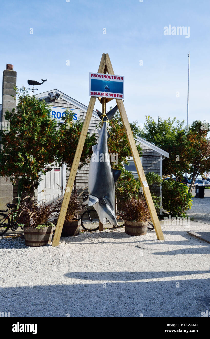 A Provincetown Cape Cod Shark settimana segno del display con la shark appeso sulla spiaggia vicino shack. Stati Uniti d'America Foto Stock