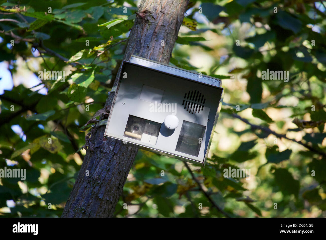 Sentiero della telecamera di sorveglianza. Huppert boschi Cook County Illinois Foto Stock