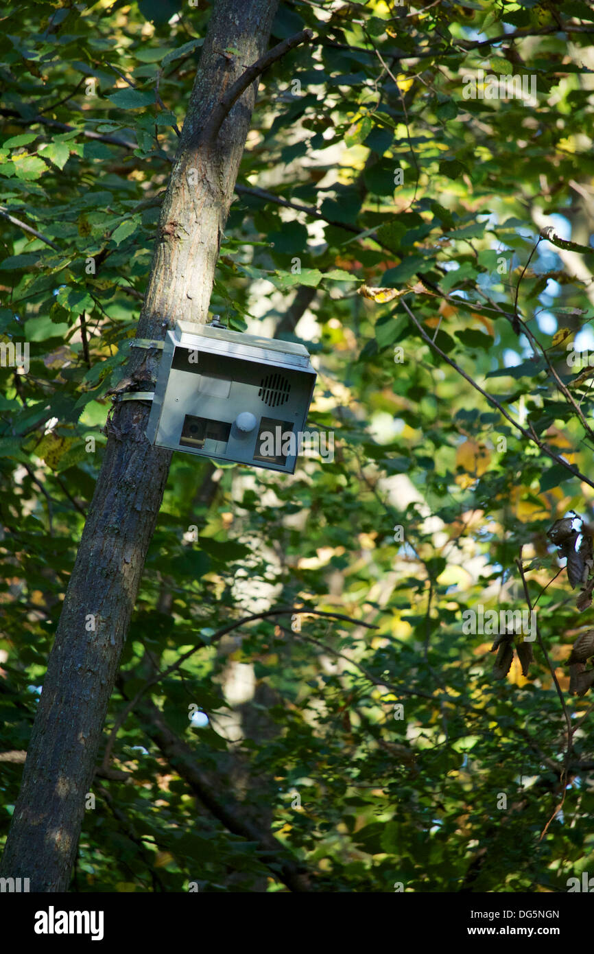 Sentiero della telecamera di sorveglianza. Huppert boschi Cook County Illinois Foto Stock