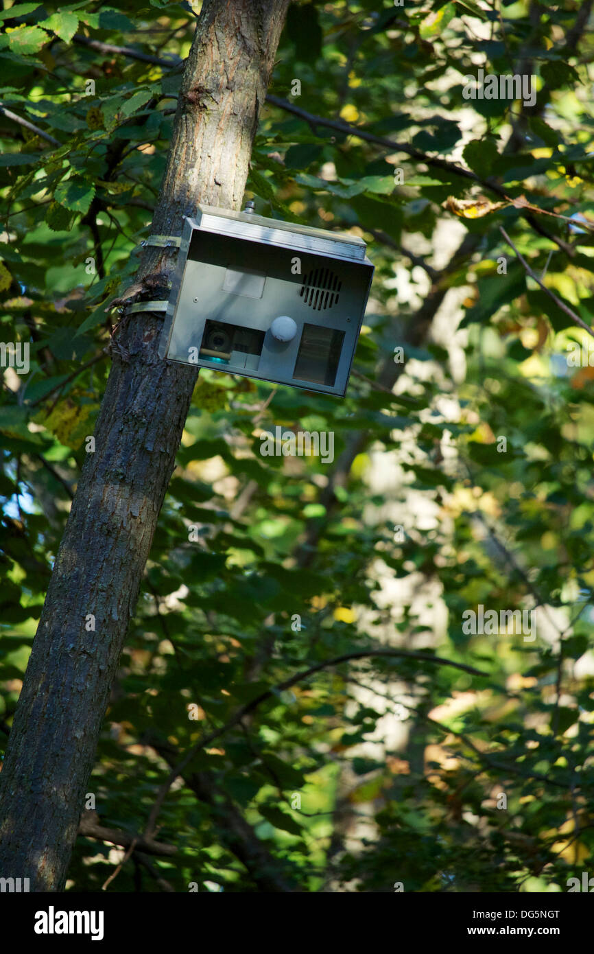 Sentiero della telecamera di sorveglianza. Huppert boschi Cook County Illinois Foto Stock