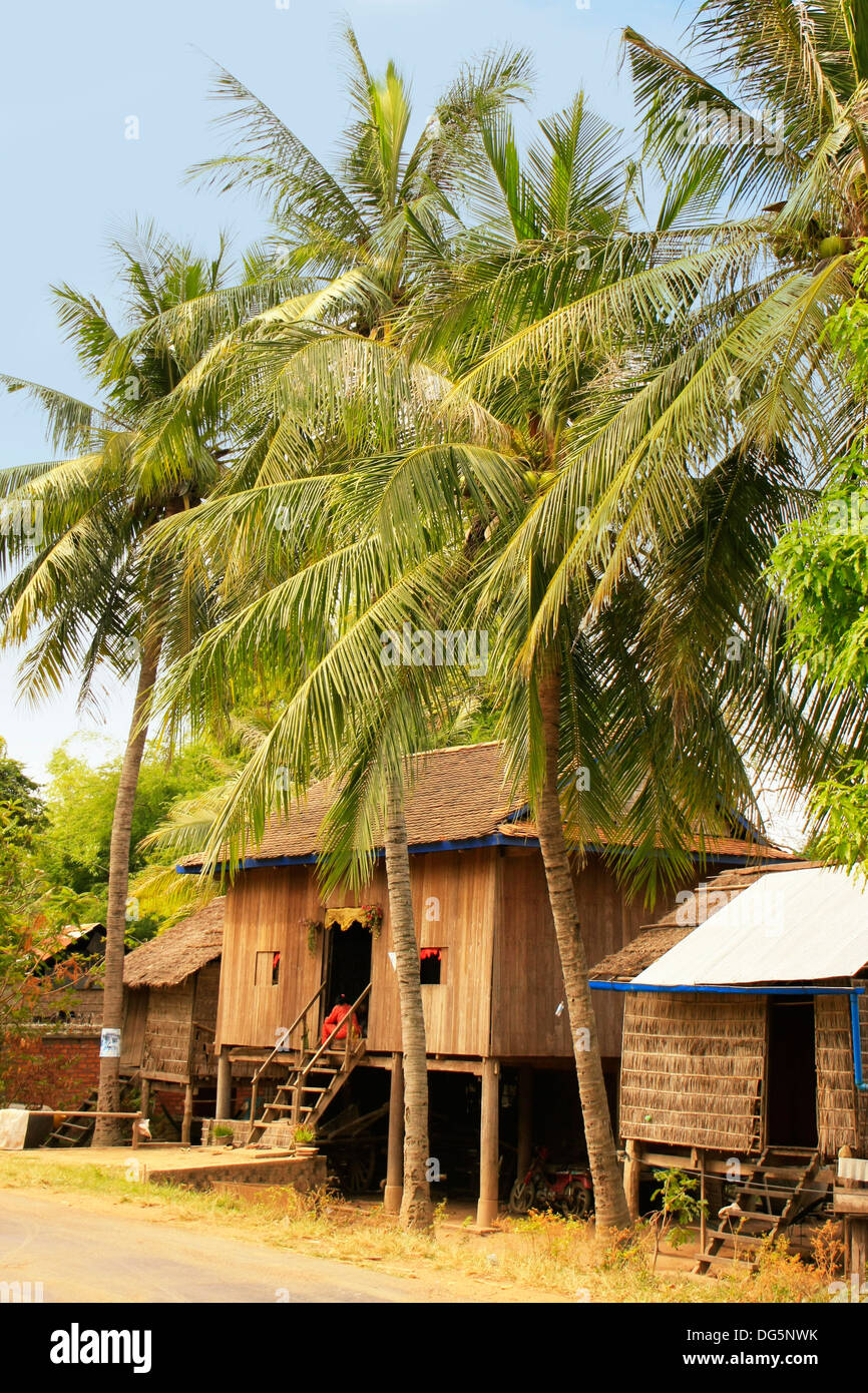 Stilt case in un piccolo villaggio vicino a Kratie, Cambogia, sud-est asiatico Foto Stock