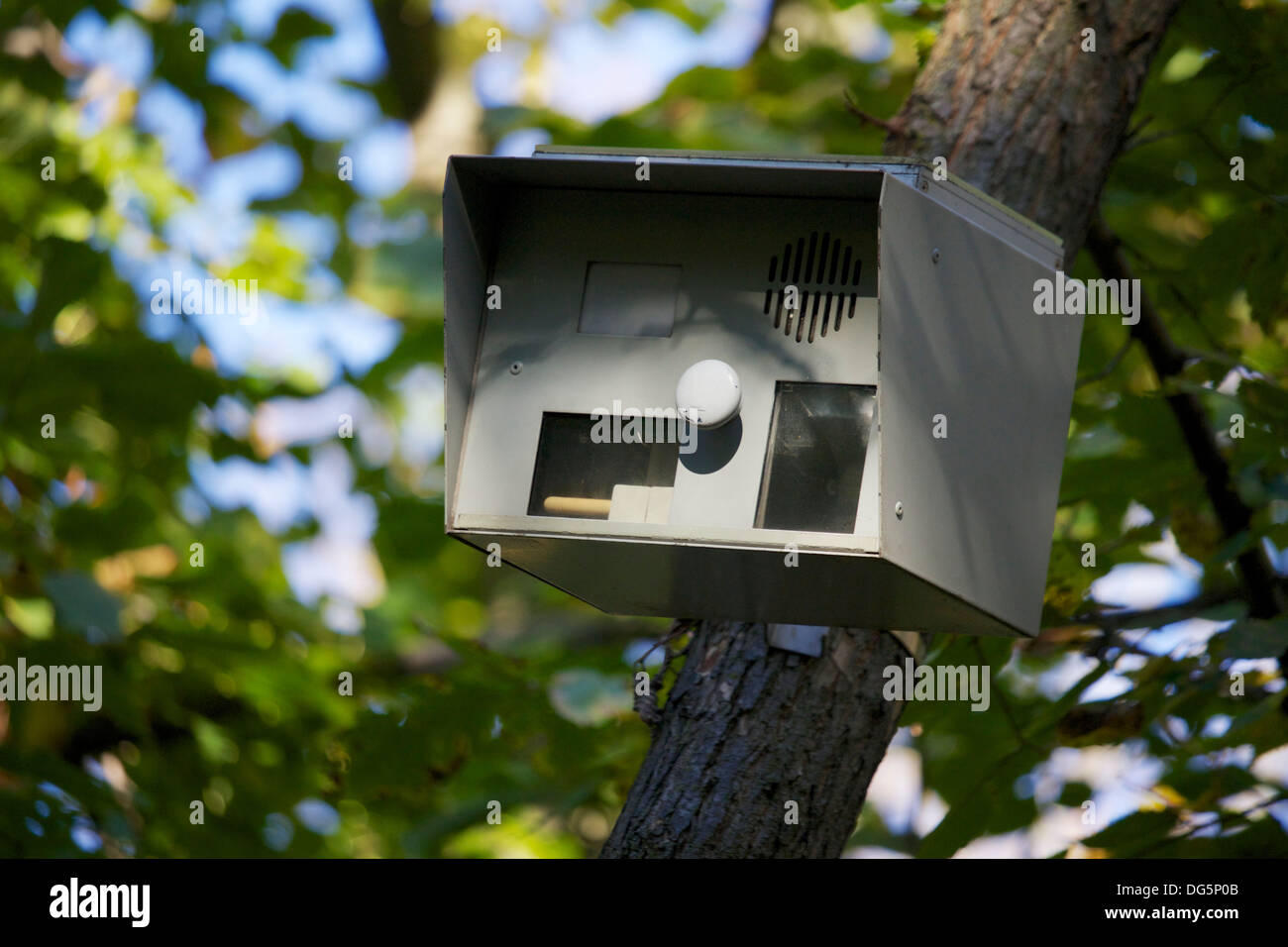 Sentiero della telecamera di sorveglianza. Huppert boschi Cook County Illinois Foto Stock