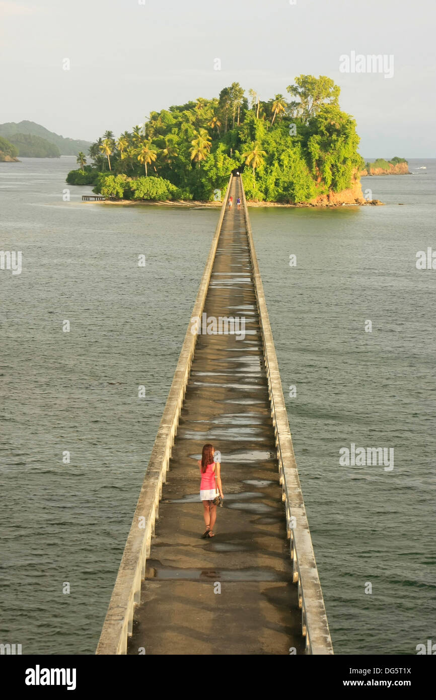 Bridge to Nowhere, Samana Bay, Repubblica Dominicana Foto Stock
