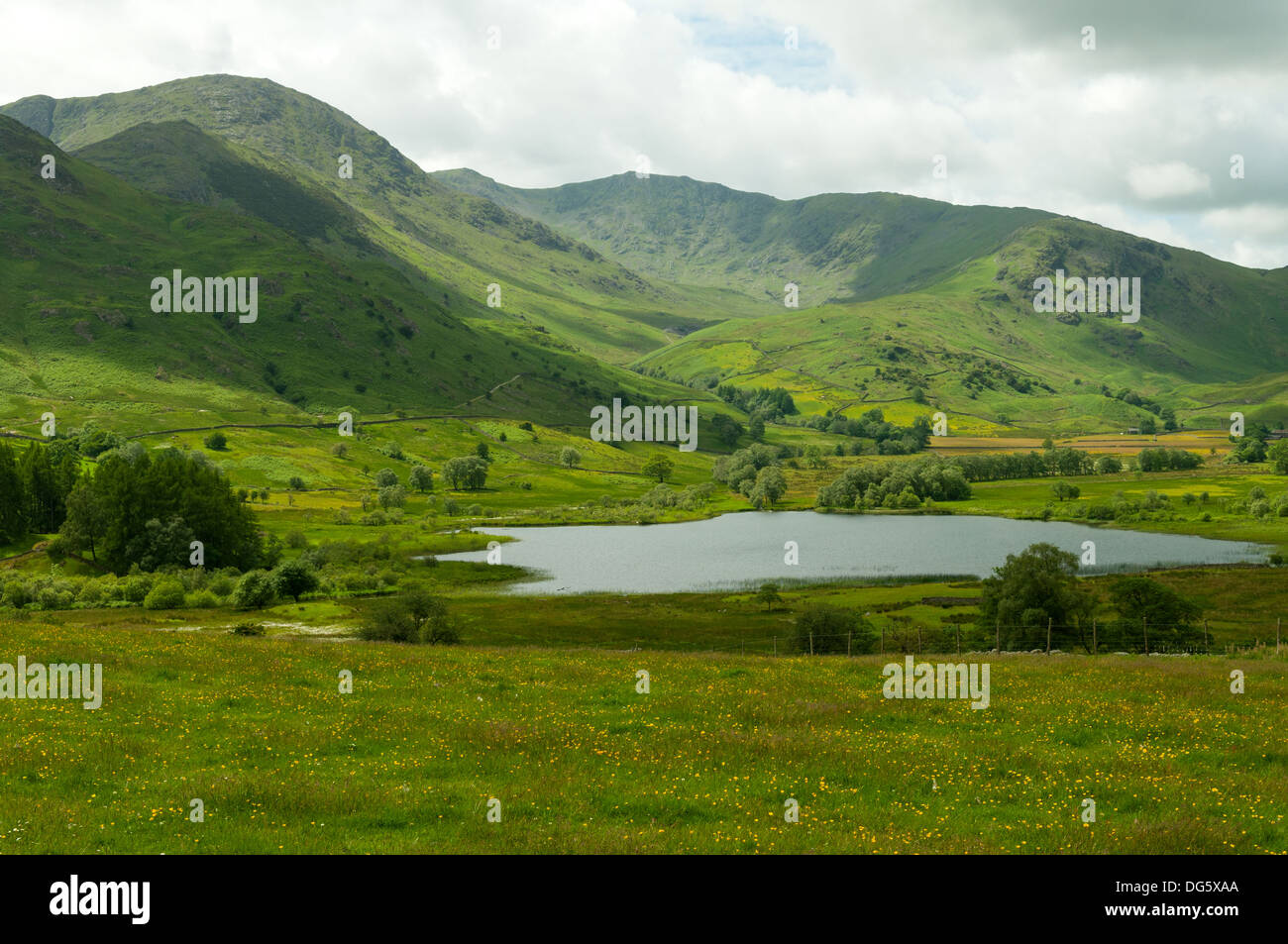 Little Langdale, Lake District, Cumbria, Inghilterra Foto Stock